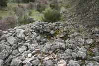 Castro del Cerro de La Cabeza