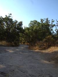 Cañada Leonesa por Machotas