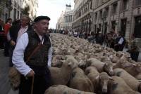 Cañada segoviana Madrid Fuente "El Mundo"