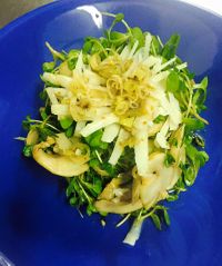 Cerceda Mickey Monkey 4