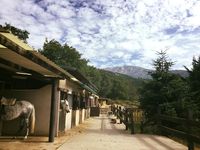 Centro h&iacute;pico Los Ciruelos