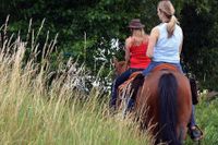 Navalmedio actividades