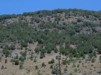 El Sabinar de Lozoya