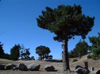 Puerto de La Fuenfr&iacute;a