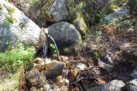 Fuente de los acebos