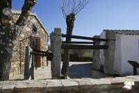 Madarcos Potro de herrar