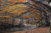 Montejo de la Sierra Senda del rio