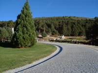 Puerto de los Cotos o del Paular