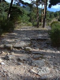 Detalle de la calzada