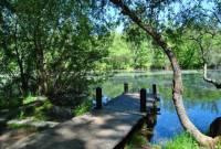 Rascafria Bosque Finlandes