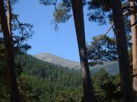 El Camino del Palero