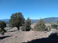 Ruta 4 El sabinar de Lozoya