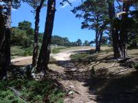 Camino de Siete Picos