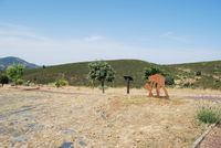 Territorio Museo Las Eras de Trillar