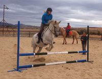 Soto Centro Cierro Grande 4