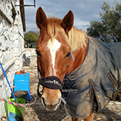 Centro H&iacute;pico Cierro Grande