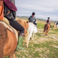 Soto del Real Vistas reales 3