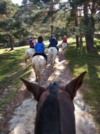 Actividades ecuestres HG