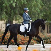 EQUIPO DE COMPETICI&Oacute;N