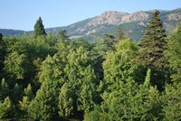 La Granja
