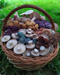 Screenshot_2025-05-12 Hostel la Pedriza - Naturaleza y buen rollo