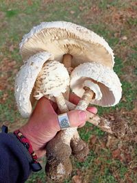 WhatsApp-Image-2023-10-09-at-10.16.46-1-2-768x1024