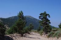 Subiendo a la Pe&ntilde;a del &Aacute;guila