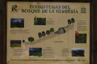 Bosque de la herreria