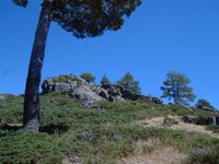 Subiendo a La Camorca