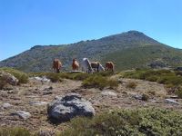 Camino de La Mujer Muerta