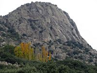 Pico de la Miel
