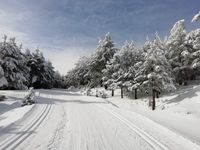 esqu&iacute; nordico