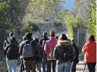 Visitas Ornitológicas